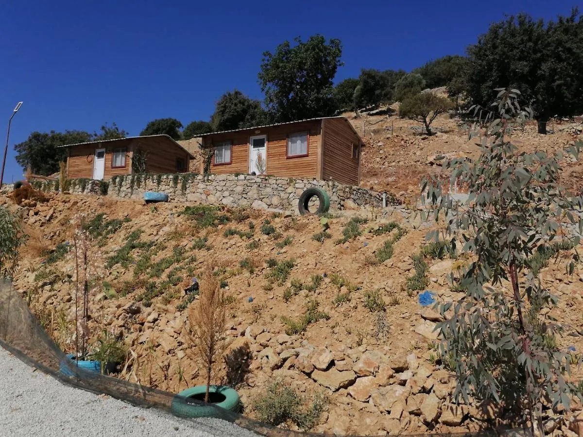 Pavlonya Bungalows Esen