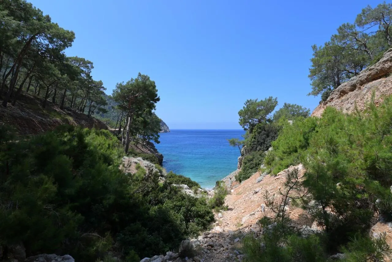 Pavlonya Bungalows Esen  Летний дом Esen (Fethiye)